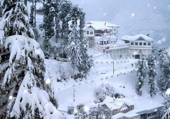 shimlatourpackages